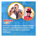 BalloonPlay Deluxe Balloon Animal Kit with Web App 150 Balloons Balloon Pump Stickers Bookmark