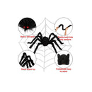 Baisoo Set of 6 Spider Halloween Decorations