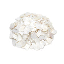 Tueascallk 200 Pieces Fish Scale Shaped White Bulk | Natural Mother of Pearl Mosaic