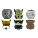 Matty's Garden Animal | Set of 6 Ceramic Succulent Planters | 2.5 Inch Small Cactus Pots With Drainage Hole