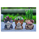 Matty's Garden Animal | Set of 6 Ceramic Succulent Planters | 2.5 Inch Small Cactus Pots With Drainage Hole