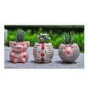 Matty's Garden Animal | Set of 6 Ceramic Succulent Planters | 2.5 Inch Small Cactus Pots With Drainage Hole