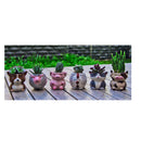 Matty's Garden Animal | Set of 6 Ceramic Succulent Planters | 2.5 Inch Small Cactus Pots With Drainage Hole
