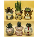 Matty's Garden Animal | Set of 6 Ceramic Succulent Planters | 2.5 Inch Small Cactus Pots With Drainage Hole