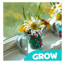 Hapinest Grow And Paint Watering Can 2 Pack Flower Garden Craft Kit Gifts For Boys And Girls Age 6 7 8 9 10 11 12 Years Old And Up