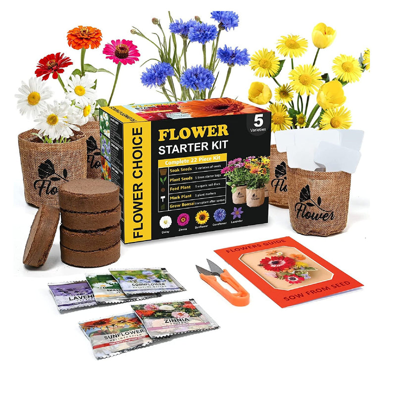 flower seeds for indoor Indoor Daisy Garden Starter Kit