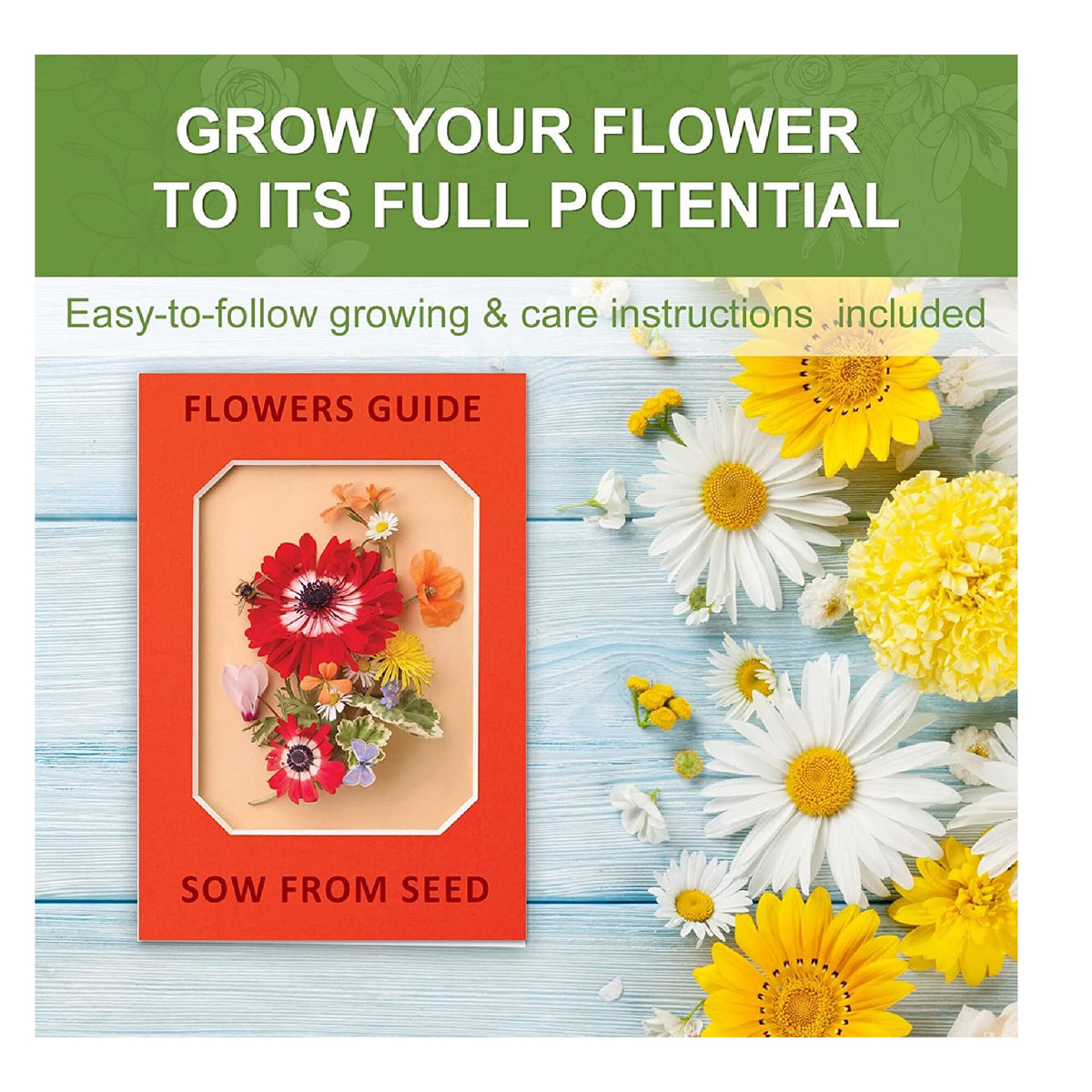 daisy seeds planting Indoor Daisy Garden Starter Kit