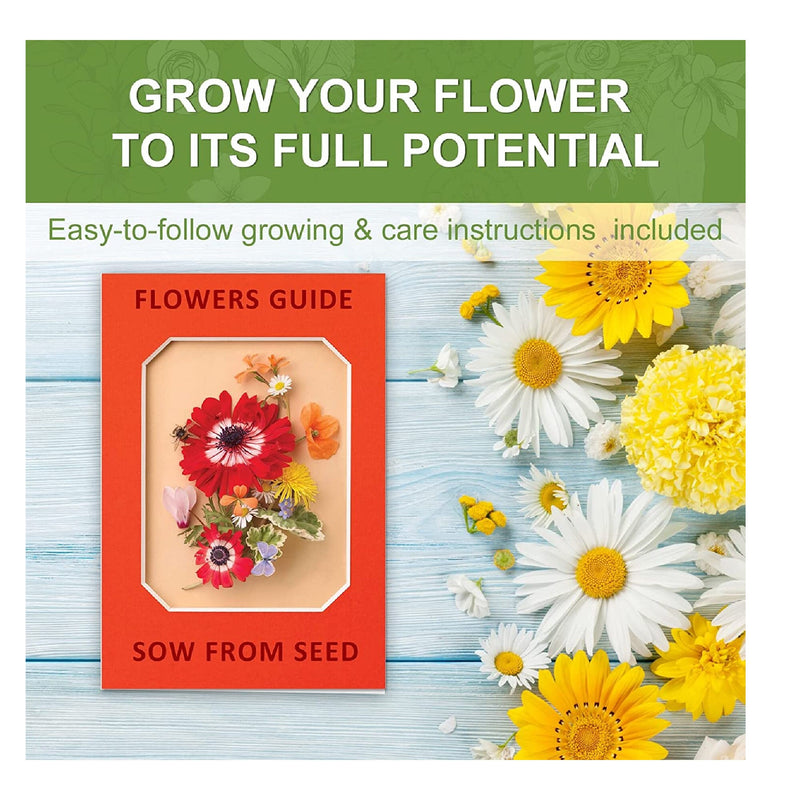 Indoor Daisy Garden Starter Kit | 5 Non-GMO Flower Seeds With Gardening Tool Set | Jute Bags | Markers