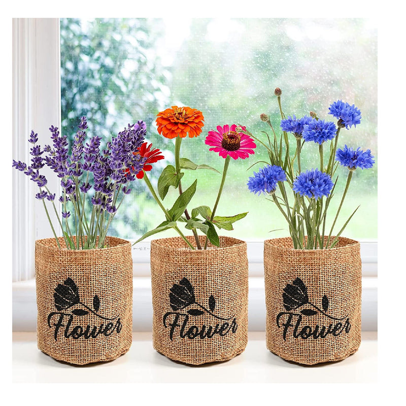 Indoor Daisy Garden Starter Kit | 5 Non-GMO Flower Seeds With Gardening Tool Set | Jute Bags | Markers