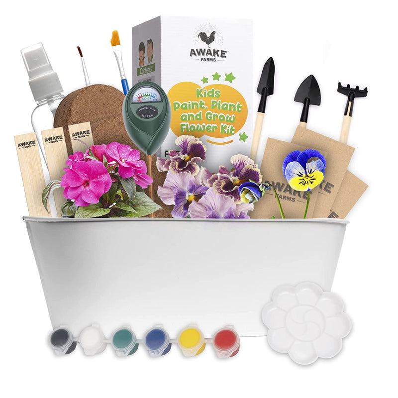 Paint kit | Plant And Flower Cultivation For Children | Includes Flower Seeds | Earth | Tools | Paints And Pots | Gardening Kit For Children