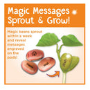 Children's Creativity Magic Bean Garden | Reveal & Grow Magic Messages | Nature And Garden Kit For Children