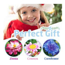 Kids Paint And Plant Flower Growing Kit | 27 Pieces Kids Gardening Plant Kits Arts And Crafts Garden Toy Set