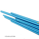 10pcs Artists Paint Brush Set Acrylic Watercolor Round Pointed Nylon Tip Hair Multifunction Hook Line Short Pointed Pen