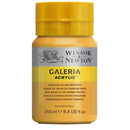 Painting Galeria Acrylic | 250ml