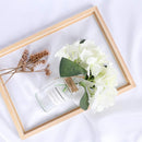 FTX10FT White Backdrop Background for Photography Photo Booth Backdrop for Photoshoot Background