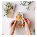 Set Of Stamps And Cutting Dies | Clear Silicone Stamps with Metal Stamping Stencils