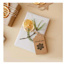 Set Of Stamps And Cutting Dies | Clear Silicone Stamps with Metal Stamping Stencils