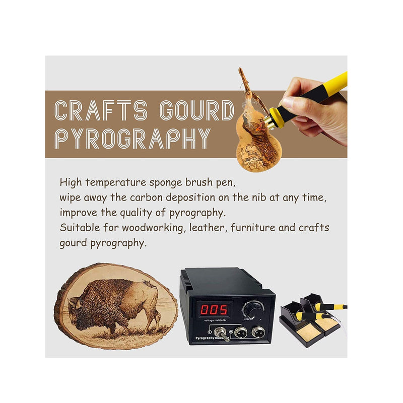 Professional Pyrography Tool Kit 60W Upgraded Wood Burning Kits with Double