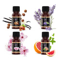 DilaBee Soap Making Kit Includes All Soap Making Supplies | Shea Butter Soap Kit for DIY Soap Making