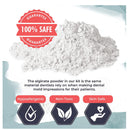 Hand Casting Kit Complete hand cast with plaster, bucket, gloves, finishing tools, display stand, instructions and more