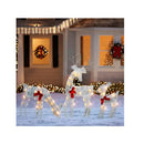 HOURLEEY Christmas Decoration Outdoor 60 Light Up Deer Family | 3-Piece Set 2D Waterproof Plug in Reindeer