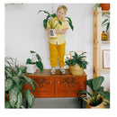 Honeycomb Stencil Sunflower Flower Stencils For Painting On Wood Canvas