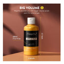 Magicfly | Bulk Acrylic Paint Set | 14 Pigment-Rich Colors 280 Ml/9.47 Fl Oz