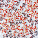 10 Pcs Nail Art Rhinestones | Fox Mask Shape Nail Charms For Decoration DIY Nail Art