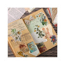 Penphuic 12 Books of 600 Vintage Scrapbook Papers | Antique Papers | Vintage Scrapbook Papers