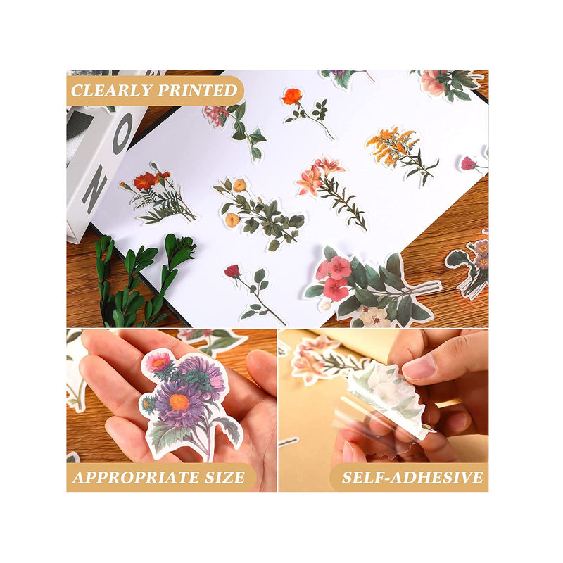 Country Chic Floral Butterfly Scrapbooking Starter Kit - Scrapbook,  Stickers and Materials