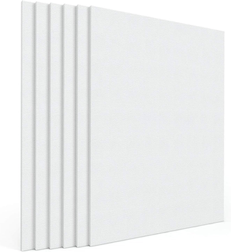 Stretched Canvas | Pack of 6, 24 x 30 Inches, Blank White Canvases, 100% Cotton, 8 oz Gesso-Primed, Art Supplies