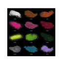 Fine Glitter | Set of 12 | Glitter for Resin | Bright & Neon Glitter | 1.5oz Bottles