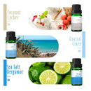 Beach Fragrance Oil | MitFlor Premium Scented Oils For Diffuser | Scents To Make Soaps And Candles | 6x10ml