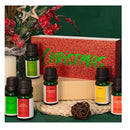 Fragrance Oil | MitFlor Christmas Set Of Perfumed Oils| 6 | 10 ml AromasTo Make Soap Candles