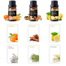 The Best Scented Oil Candle Set | High Concentration To Make Candles