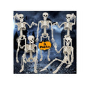Aitbay 5 Packs Halloween Skeleton Decoration | 16'' Halloween Decorations Full Body Posable Skeletons Props with Movable Joints