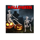 Aitbay 5 Packs Halloween Skeleton Decoration | 16'' Halloween Decorations Full Body Posable Skeletons Props with Movable Joints