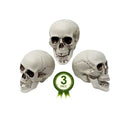 Colonel Pickles Novelties Skull Decorations | Bag Of 3 Plastic 5 Inch Skulls For Halloween Decor
