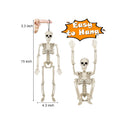 Aitbay 5 Packs Halloween Skeleton Decoration | 16'' Halloween Decorations Full Body Posable Skeletons Props with Movable Joints