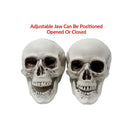 Colonel Pickles Novelties Skull Decorations | Bag Of 3 Plastic 5 Inch Skulls For Halloween Decor
