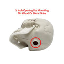 Colonel Pickles Novelties Skull Decorations | Bag Of 3 Plastic 5 Inch Skulls For Halloween Decor