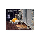 Colonel Pickles Novelties Skull Decorations | Bag Of 3 Plastic 5 Inch Skulls For Halloween Decor