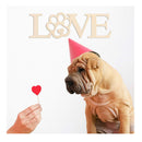 3Pcs Love Paw Blank Wood Sign Wooden Dog Cat Paw Plaque Wood Unfinished DIY Crafts