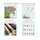 Setoda Full Range Of Embroidery Starter Kits Beginner Stamped Cross Stitch Kits For DIY Embroidery