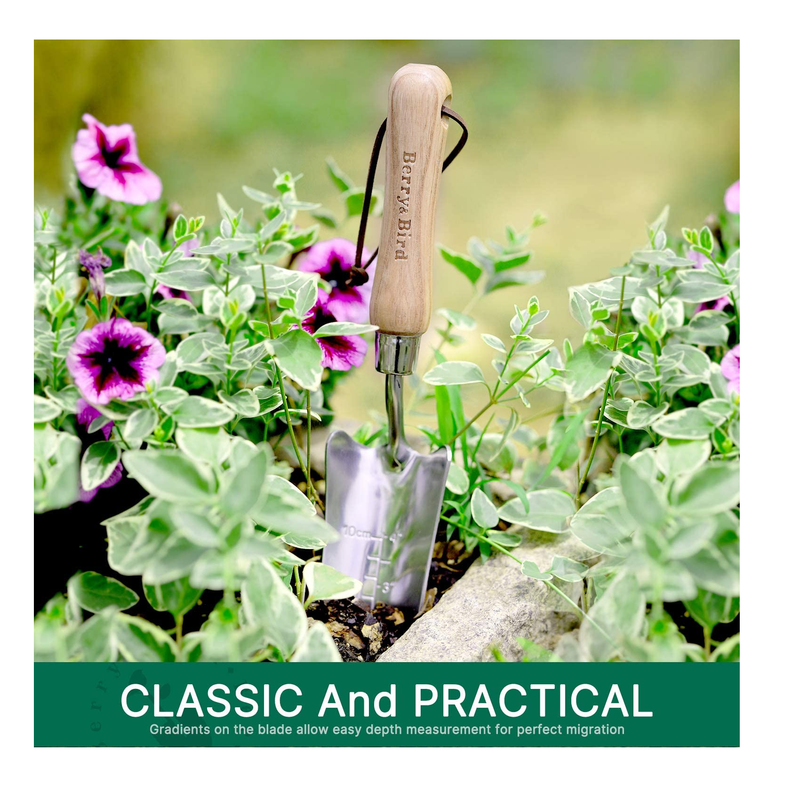 Berry&Bird Stainless Steel Transplanter | Garden Trowel with Ergonomic Handle