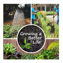 22,000 Non GMO Heirloom Vegetable Seeds | Survival Garden | Emergency Seed Vault