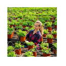 Augshy 110 6" Plastic Nursery Pots| Seed Starting Pots