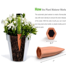 B SEPOR | Set Of 6 Terracotta Self Watering Spikes For Plants