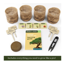 Bonsai Starter Kit | Gardening Gift for Women & Men | Bonsai Tree Growing Garden Crafts Hobby Kits
