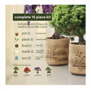 Bonsai Starter Kit | Gardening Gift for Women & Men | Bonsai Tree Growing Garden Crafts Hobby Kits
